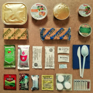 Армейский ИРП 9 в Дубне