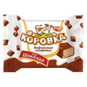  в Дубне